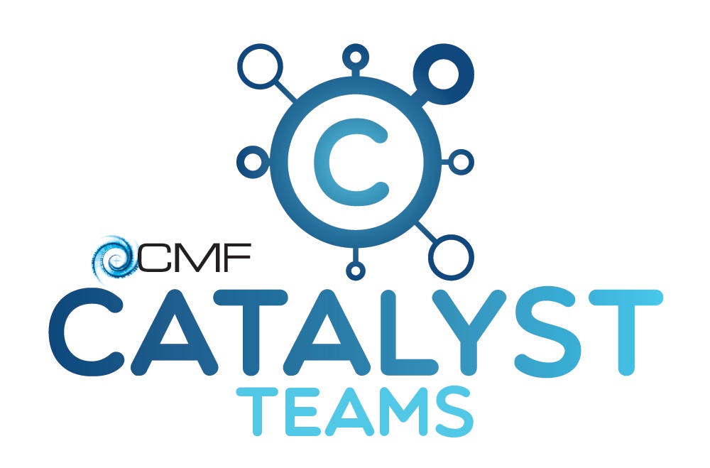 Catalyst Team Online Gathering 2021